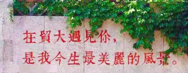 若未并入对外经济贸易大学，中国金融学院是否已成中国金融大学？